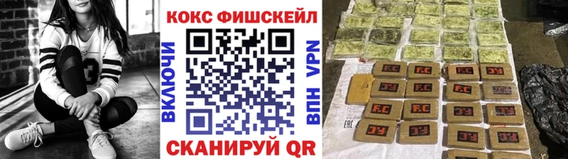 дарнет шоп  Каменногорск  COCAIN 97% 