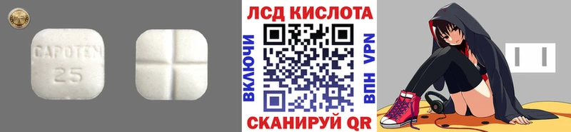 ЛСД экстази ecstasy  продажа наркотиков  Каменногорск 