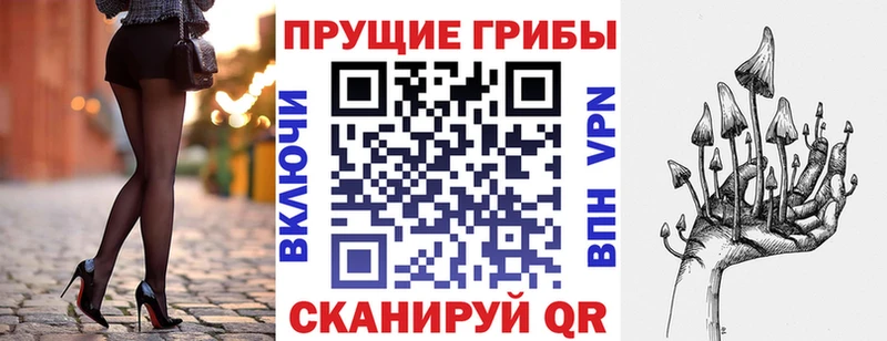где можно купить   Каменногорск  Галлюциногенные грибы мухоморы 